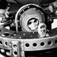 Image for article titled The First Animals In Space